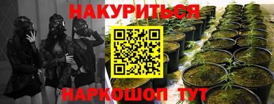 СК Краснокаменск