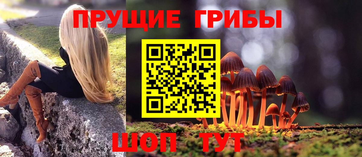 Псилоцибиновые грибы Magic Shrooms Казань